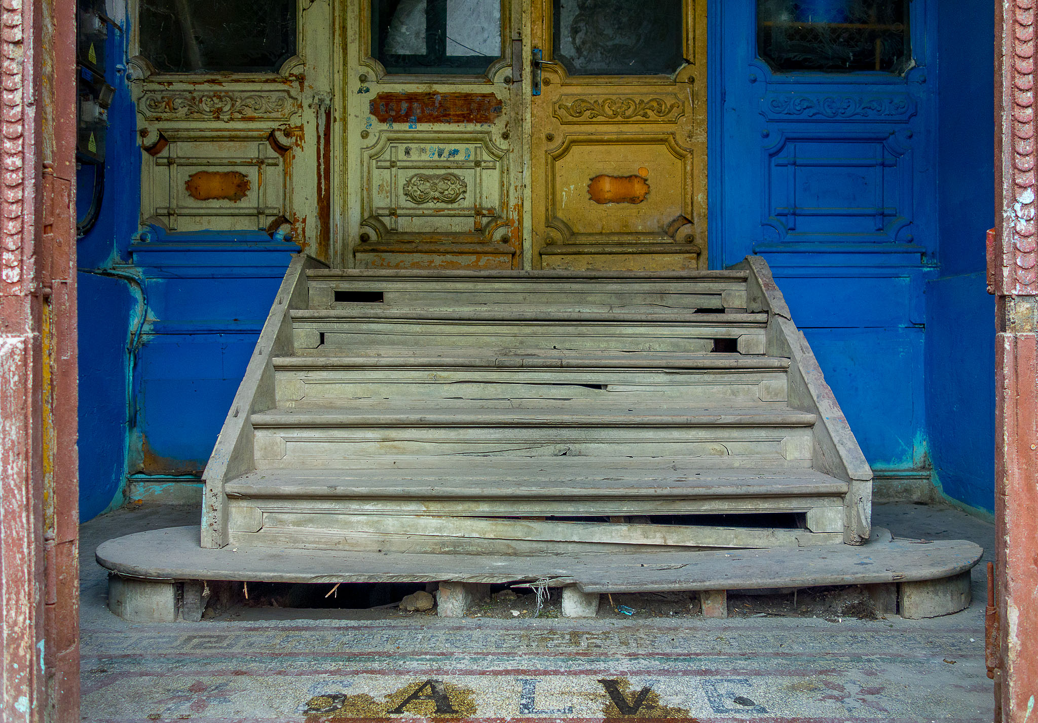  DSC0254